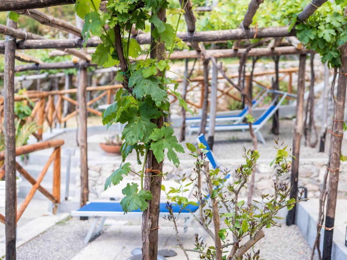 Albergo Diffuso Bacco Фуроре Екстер'єр фото